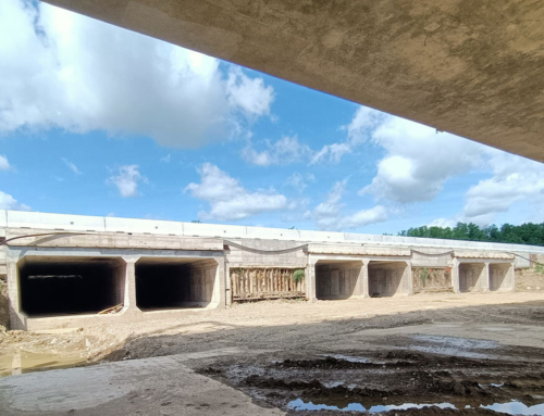 System of Expansion Basins Aimed at Mitigating Hydraulic Risk in the Valdarno FiorentinoFigline and Incisa Valdarno | Italy