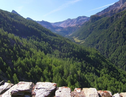 Saint-Marcel River BasinSoil Erosion AssessmentValle D’Aosta | Italy