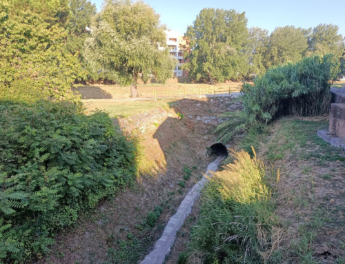 Consolidation of embankments of the Era River | Italy