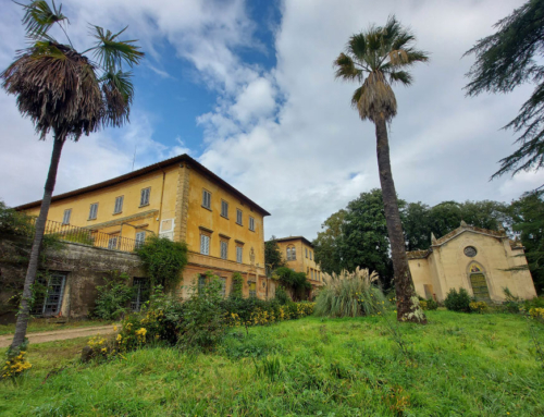 Rigenerazione Territoriale della Tenuta di MondeggiFirenze | Italia